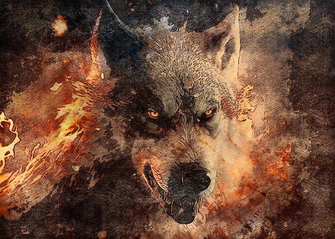 Fire Wolf Art