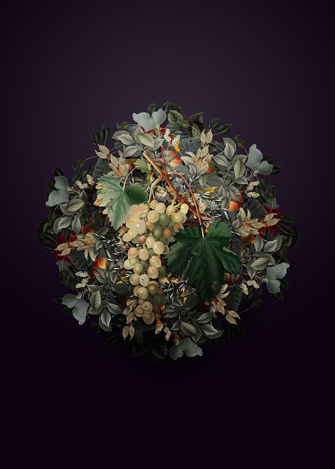 Muscat Grape Fruit Wreath