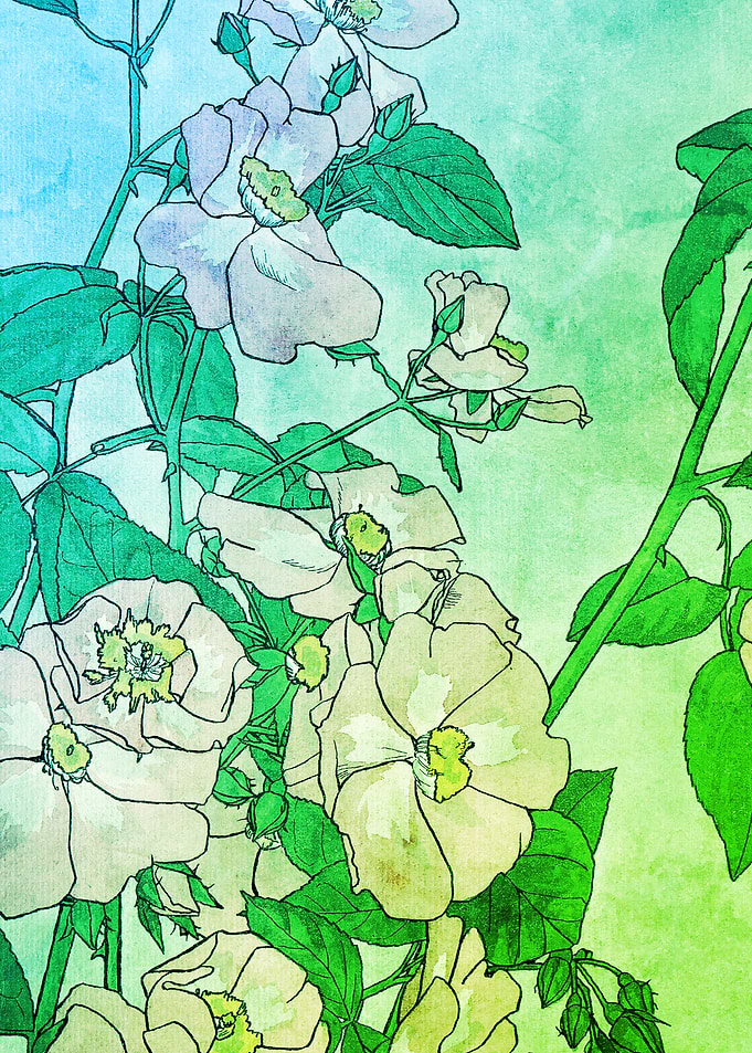 Prairie Flowers Art