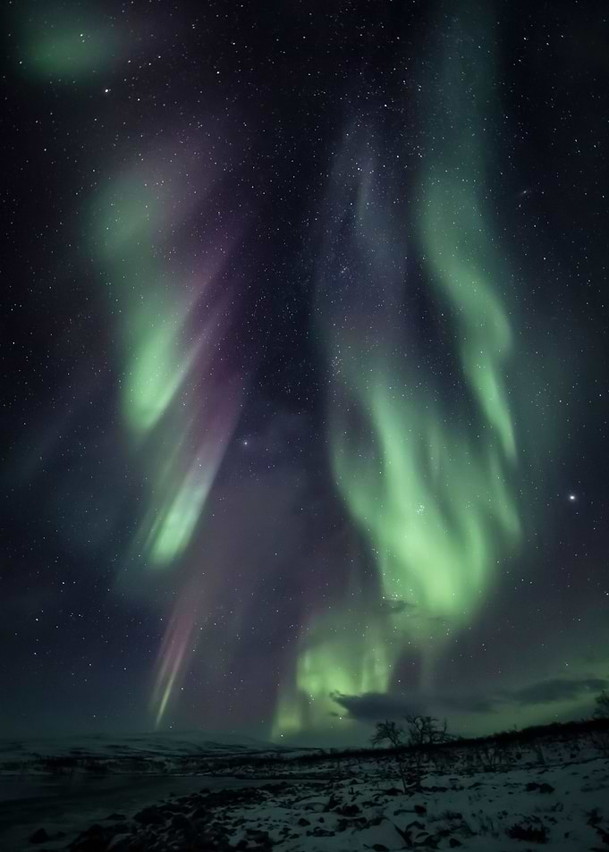 Aurora Pillars