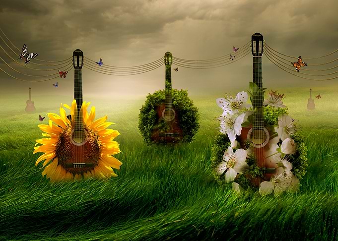 Guitars Green Grass Foggy