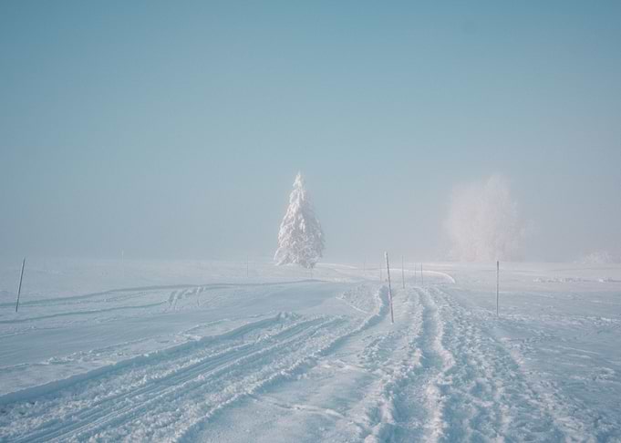 Foggy Winter Switzerland