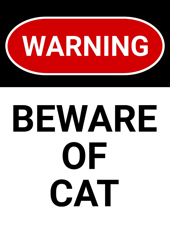 BEWARE OF CAT