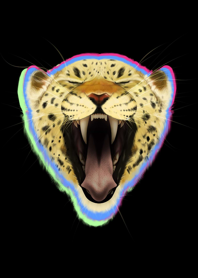 Leopard