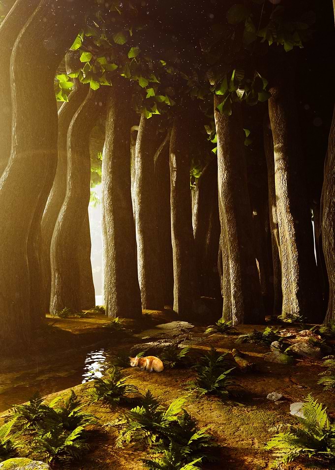 The Cat In The Forest