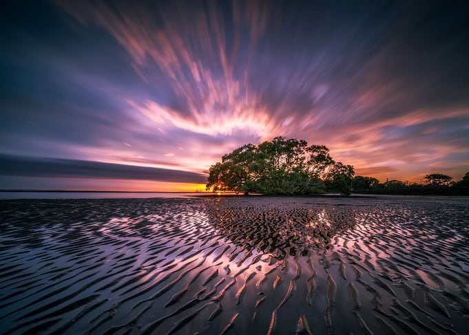 Coastal Awakening