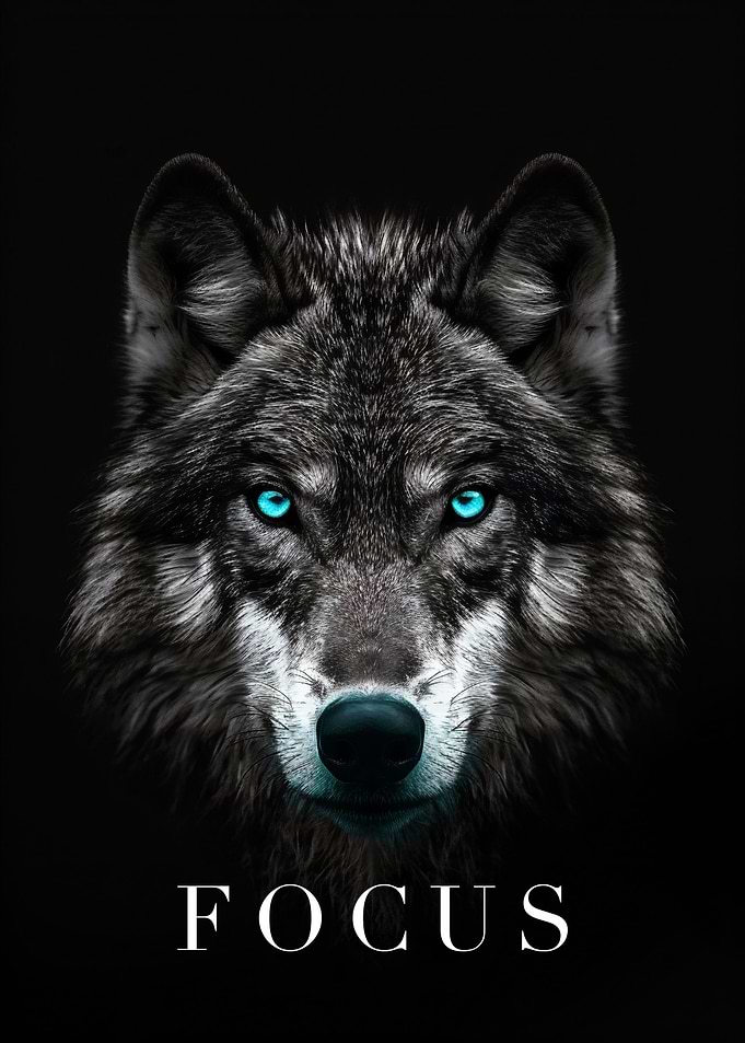 Wolf Focus