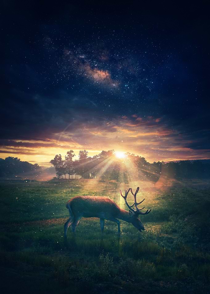 INFINITE TWILIGHT