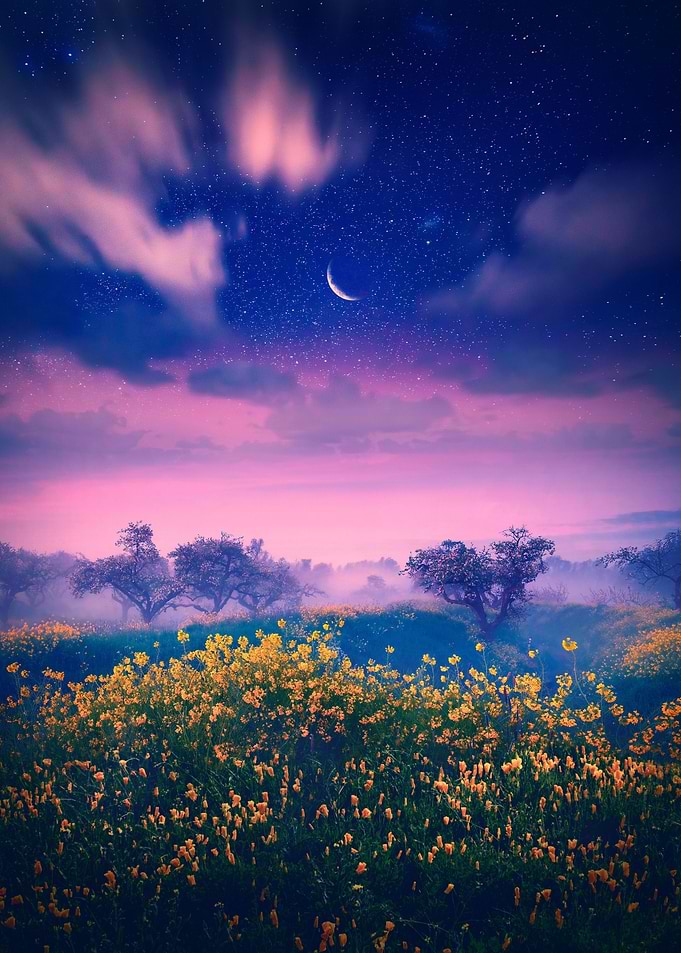 LUNAR LULLABY