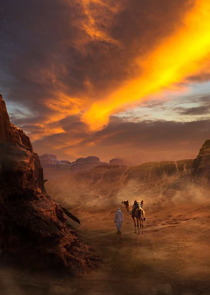 Travelling The Dessert