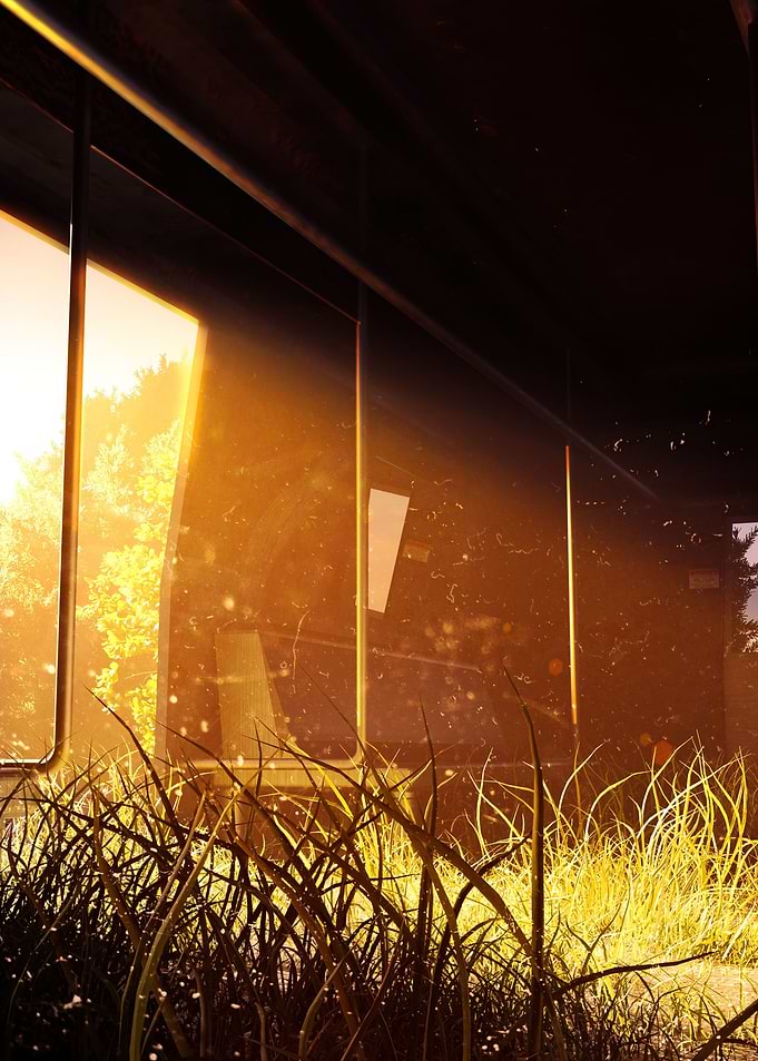 Overgrown Train