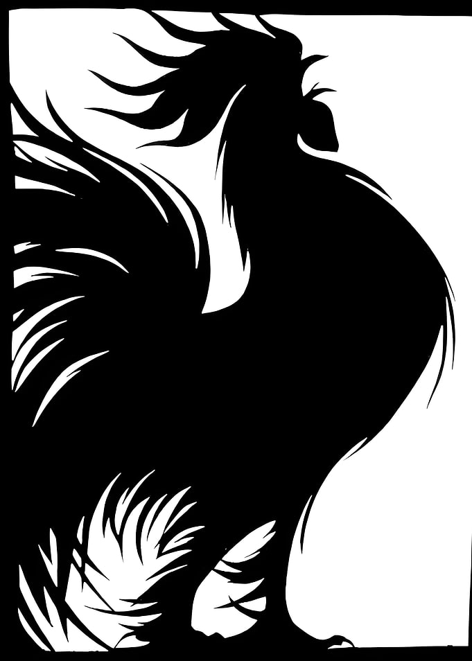 vector chicken