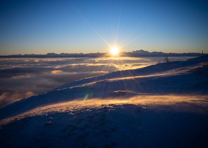 Morning Sun