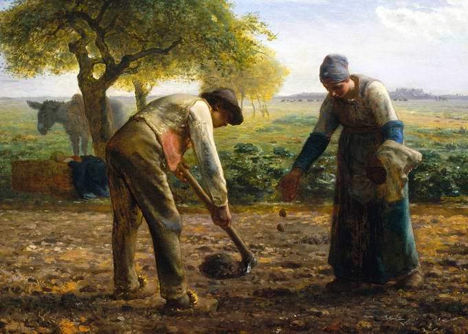 Potato Planters by Millet