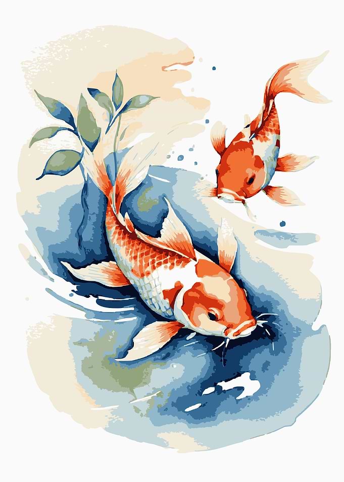 Japanese Koi Fish 1