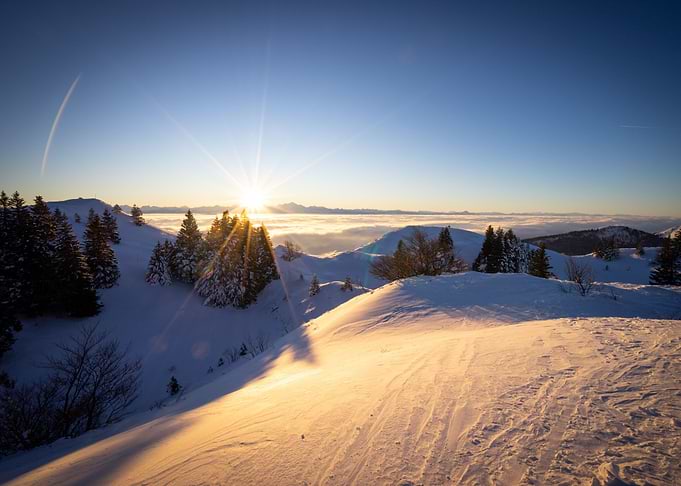 Morning sun