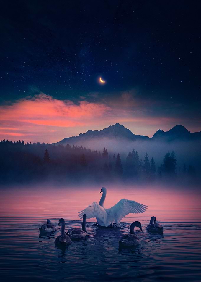 ASTRAL BALLET