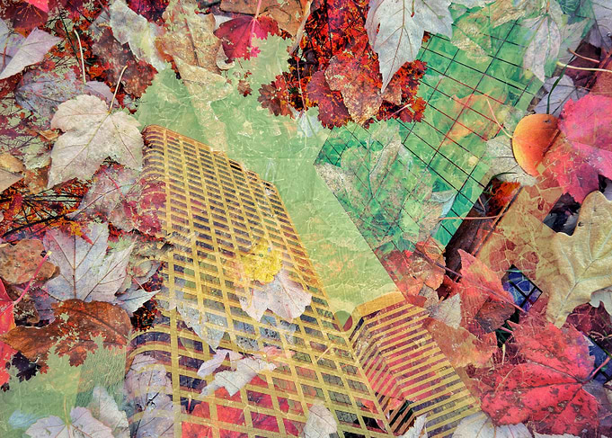 Seattle Autumn