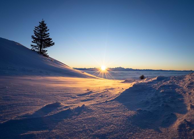 morning sun