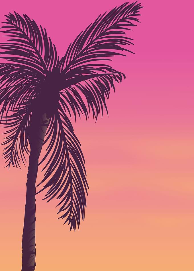 Tropical Sunset