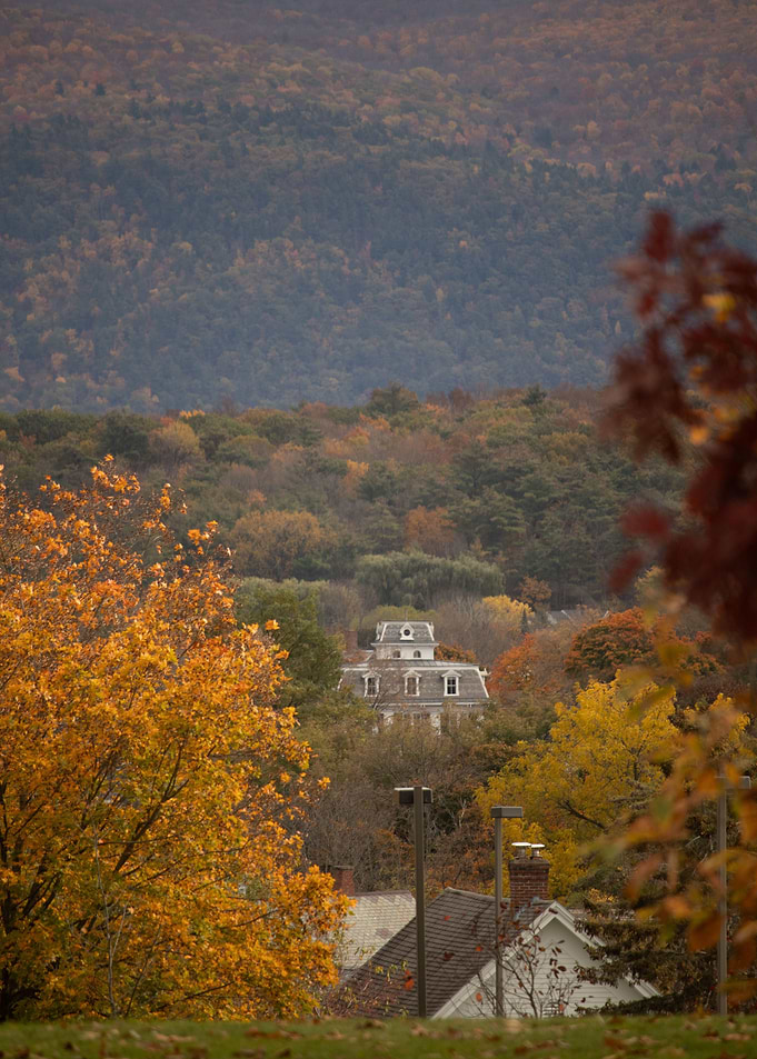 Dark Fall Foliage