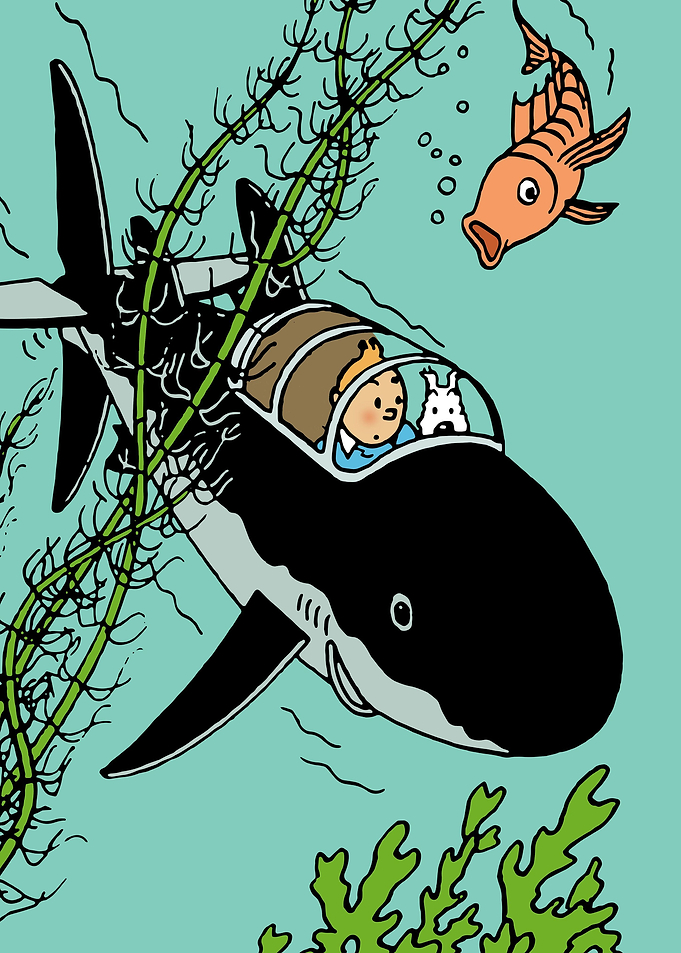a tintin adventure