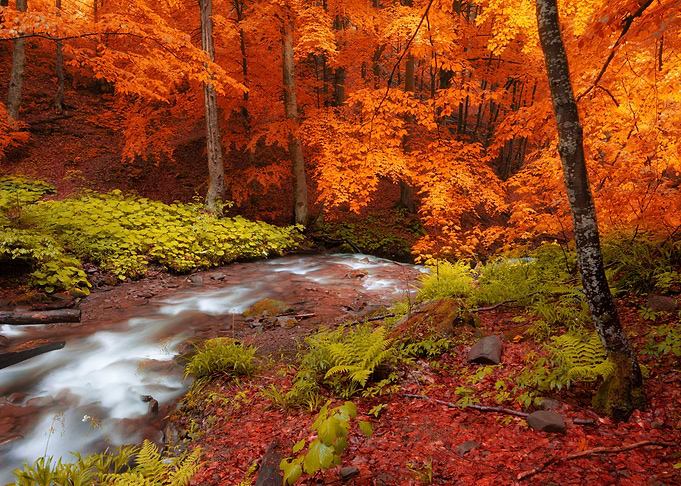 Smoky Mountains