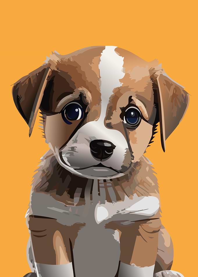 Cute Puppy Watching You