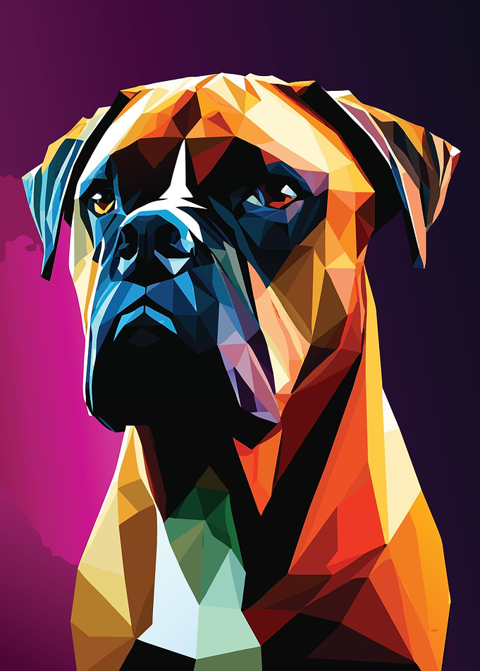 My Dog Boxer