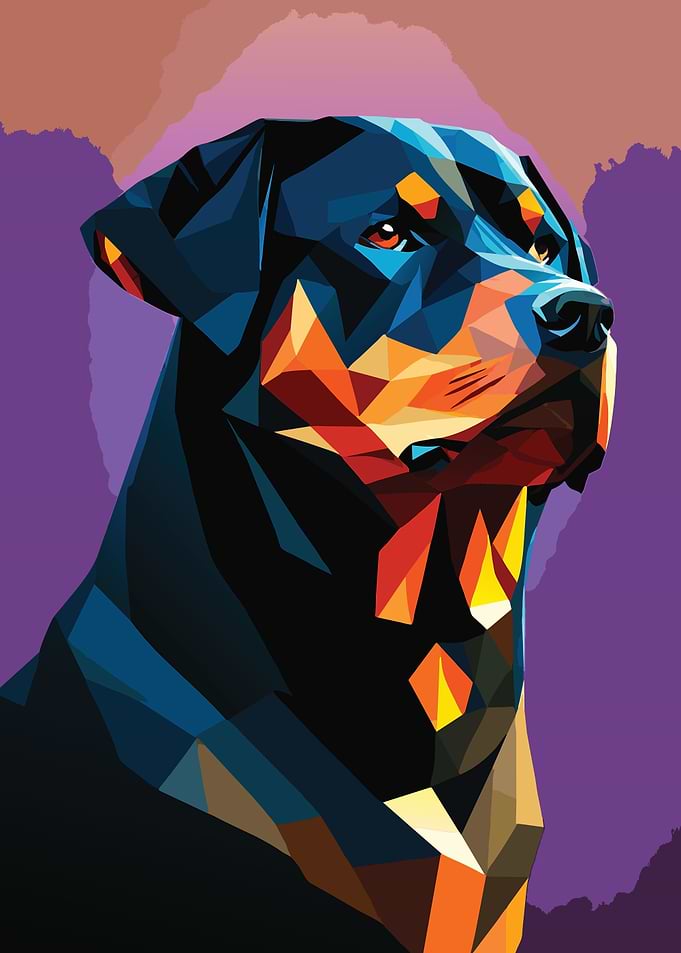 My Dog Rottweiler