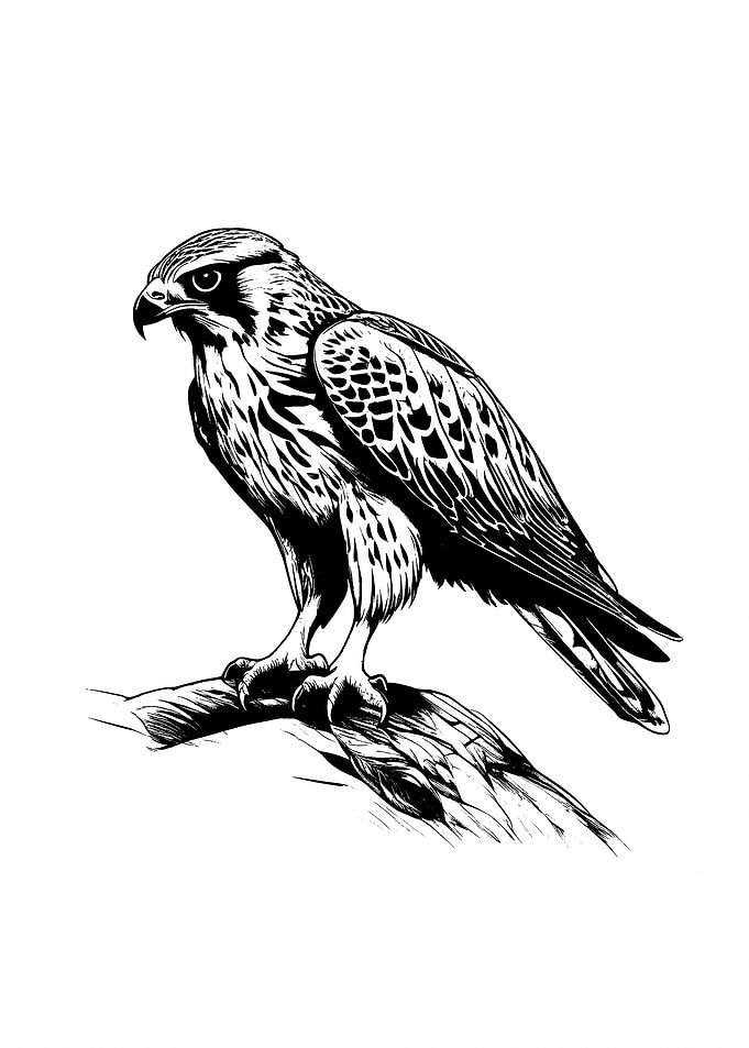 RETRO RAPTOR