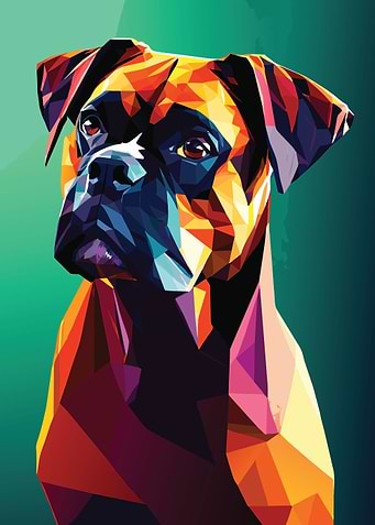 My Dog Boxer