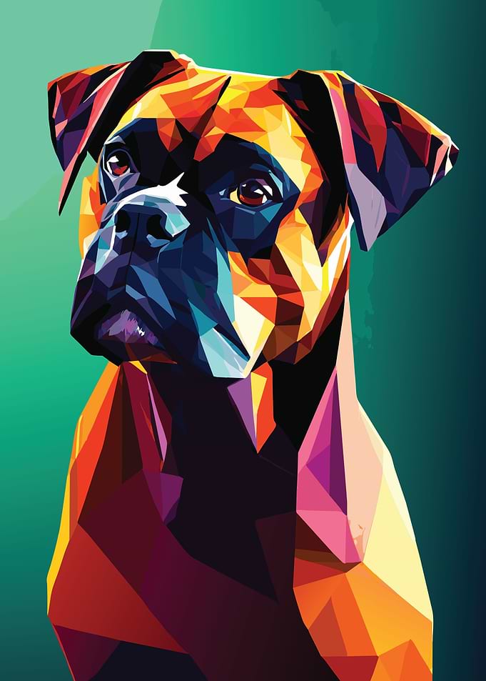 My Dog Boxer
