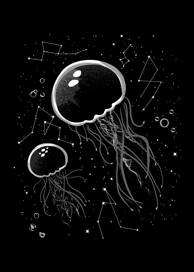 Jellyfish