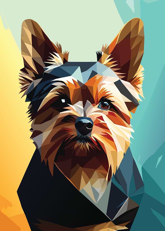 My Dog Yorkshire Terrier