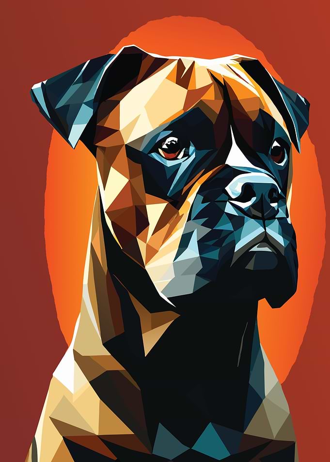 My Dog Boxer