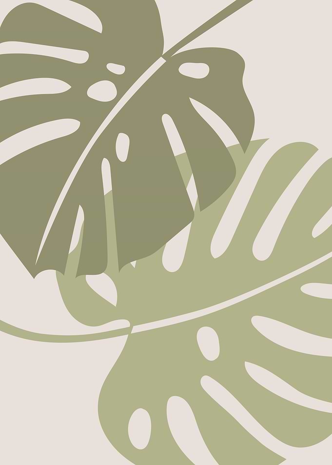 Abstract monstera leaves