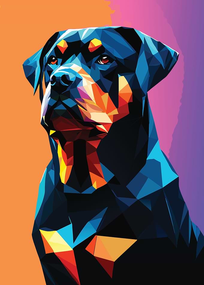 My Dog Rottweiler