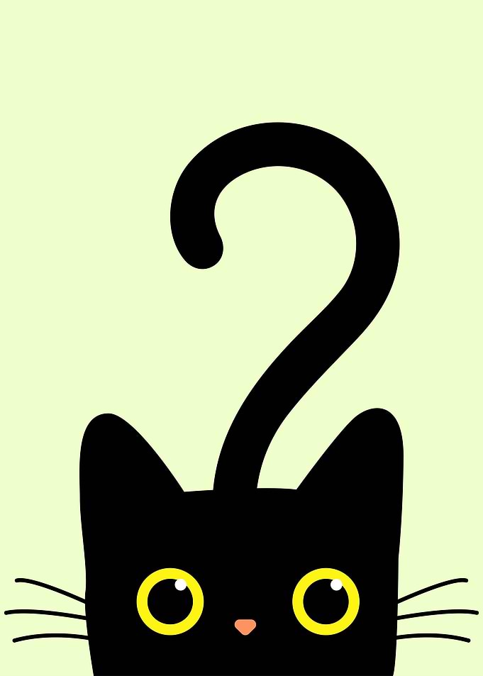 Funny Cat Animals