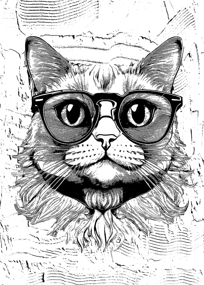 Retro Purrspective