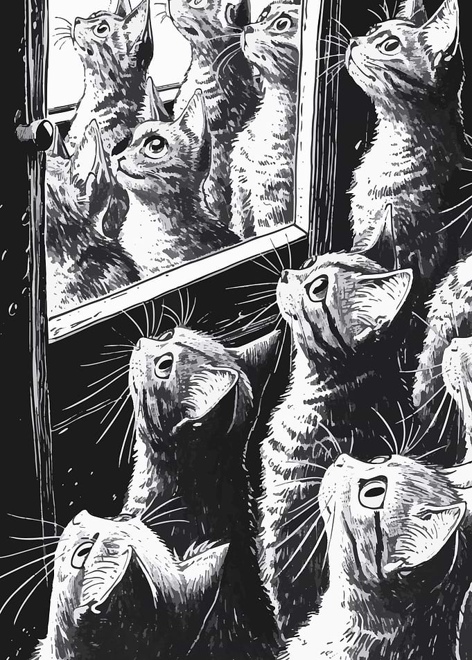 Cute tabby cats