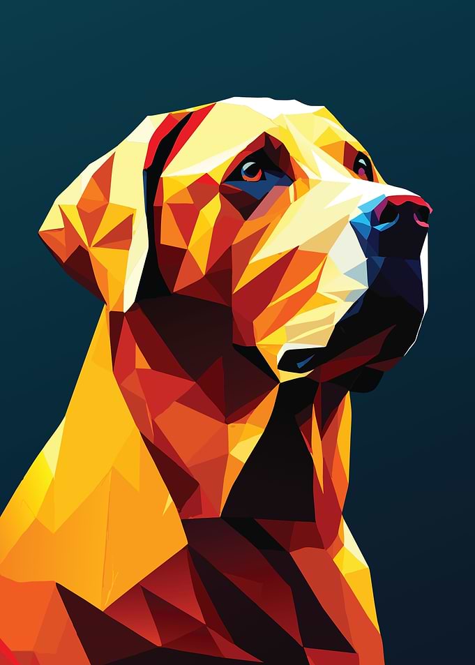 My Dog Labrador Retriever