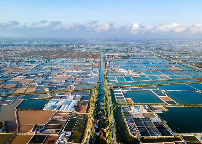 Shrimp breeding farm view