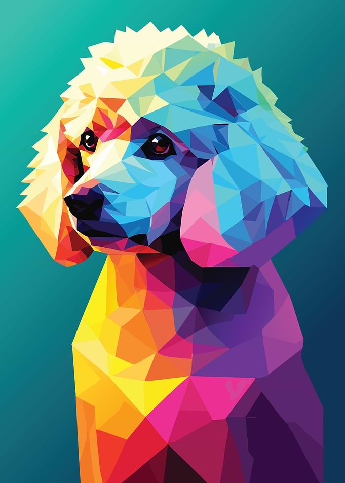 My Dog Poodle