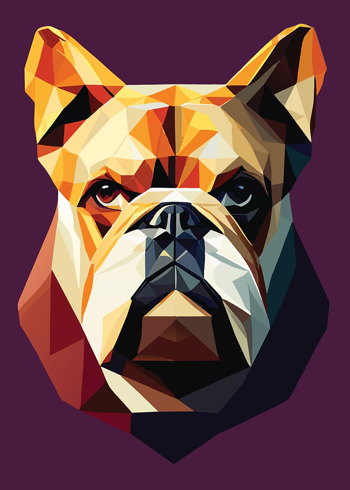 My Dog Bulldog