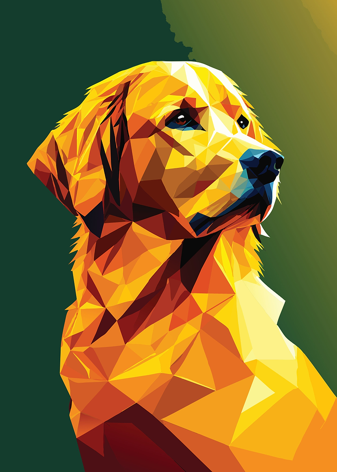 My Dog Golden Retriever