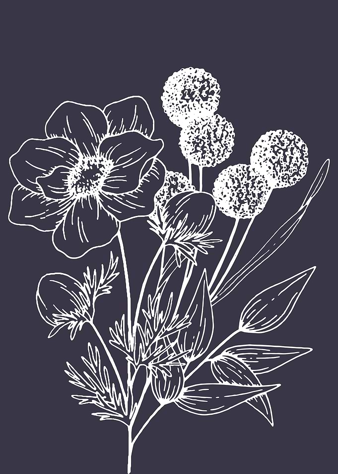 Delicate Flowers