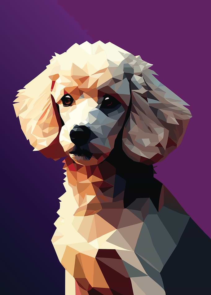 My Dog Poodle