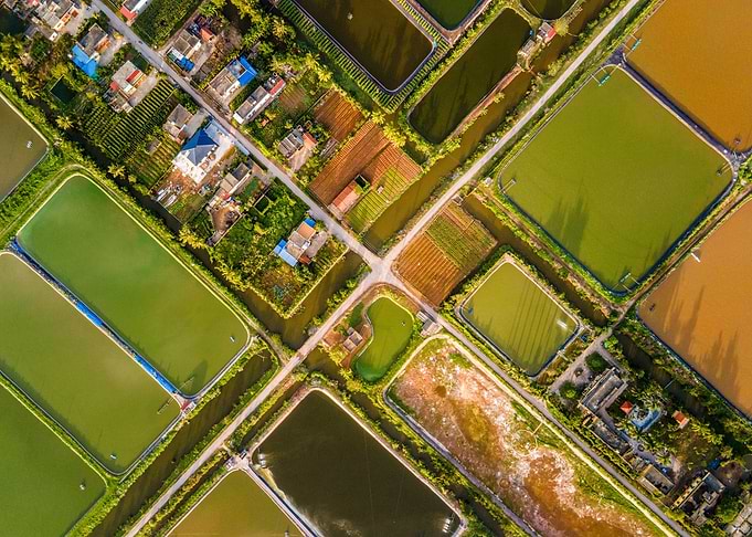 Shrimp breeding farm view
