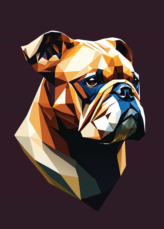 My Dog Bulldog